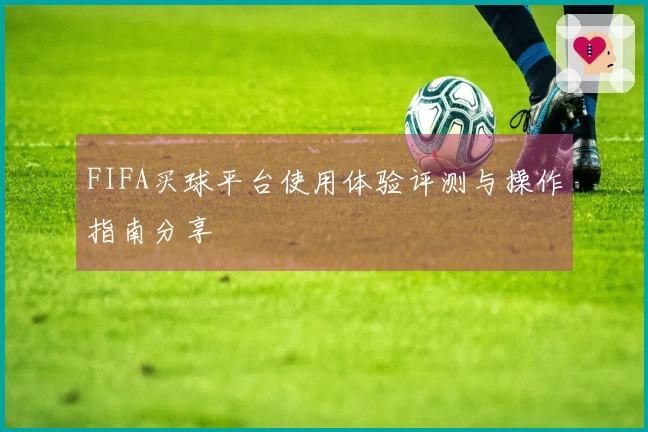 FIFA买球平台使用体验评测与操作指南分享
