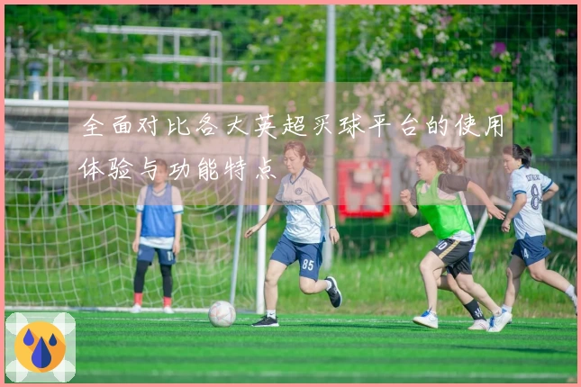 全面对比各大英超买球平台的使用体验与功能特点