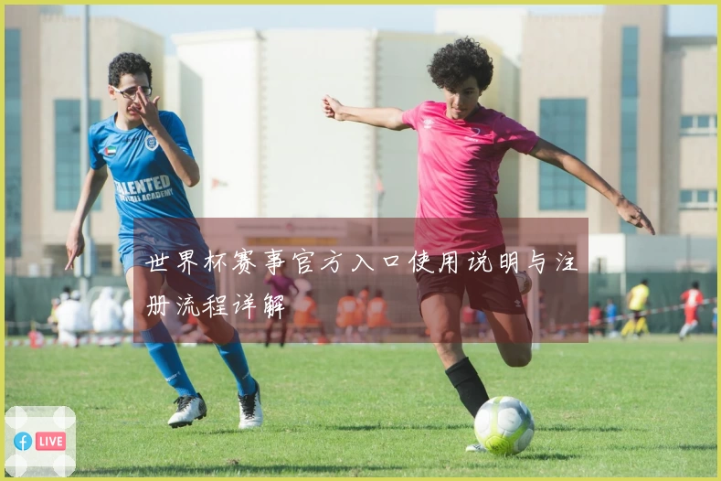 世界杯赛事官方入口使用说明与注册流程详解
