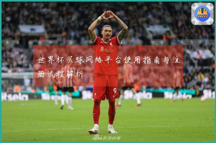 世界杯买球网络平台使用指南与注册流程解析